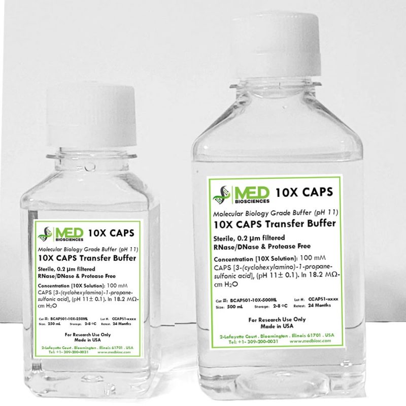 Buffer Filter Cap 10X CAPS Transfer Buffer (pH 11) Sterile Filtered, DNase/RNase and ...